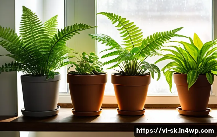 자주 죽는 식물과 그 해결책 - A bright indoor scene featuring a variety of healthy houseplants in appropriately sized terracotta a...