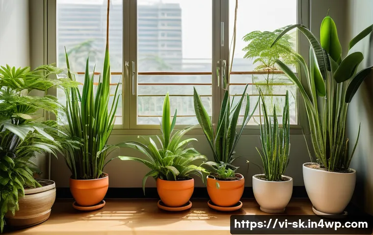 홈가드닝을 통한 환경 보호 방법 - A cozy Vietnamese home balcony garden scene featuring a variety of potted plants such as snake plant...