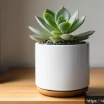 Home 18 예쁜 화분 만들기 아이디어 - A modern indoor setting featuring a small succulent plant in a smooth white ceramic pot with a cylin...