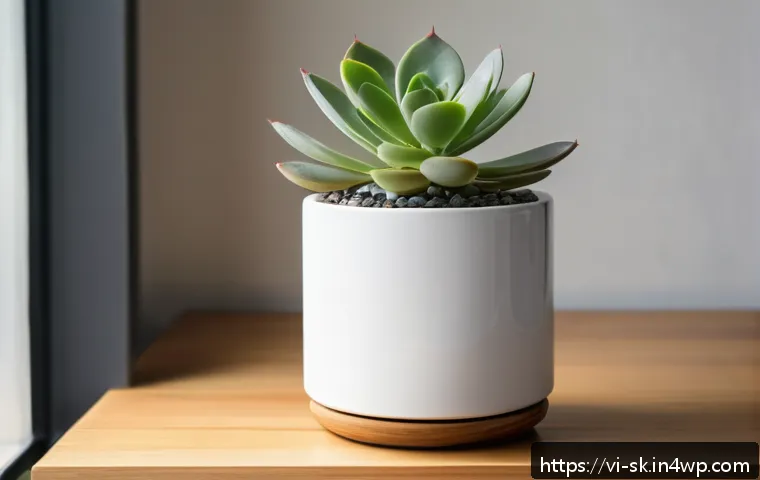 예쁜 화분 만들기 아이디어 - A modern indoor setting featuring a small succulent plant in a smooth white ceramic pot with a cylin...