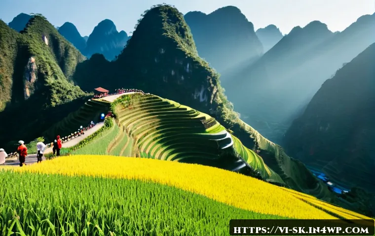 Tưới cây tại nhà đúng cách: Dấu hiệu cần nước, lỗi dễ úng rễ và cách chọn dụng cụ hỗ trợ 4 홈가드닝을 위한 물주기 주의사항 관련 이미지 2